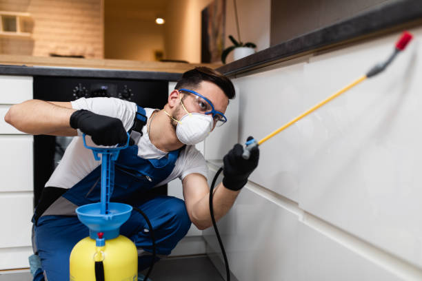 Best Commercial Pest Control Services  in Mount Morris, MI