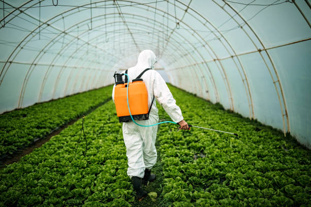 Best Affordable Pest Control Services  in Mount Morris, MI