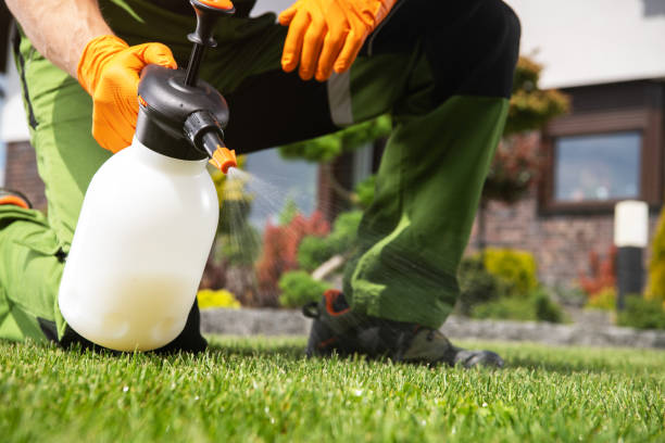 Best Exterminator Services  in Mount Morris, MI