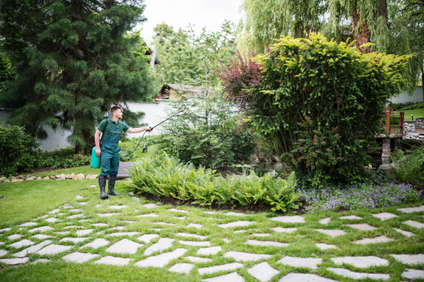 Best Ant Control Services  in Mount Morris, MI
