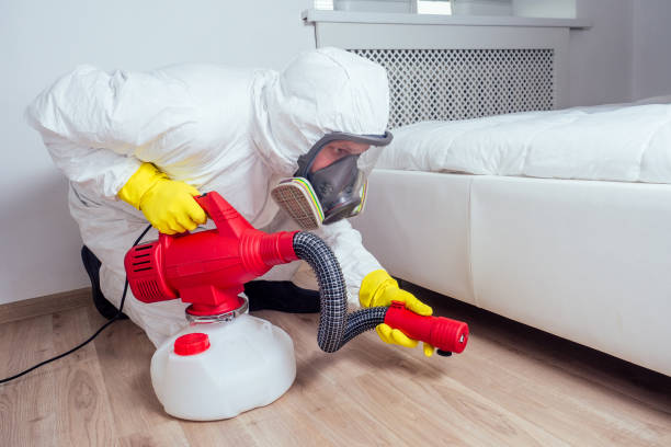 Best Pest Removal Services  in Mount Morris, MI