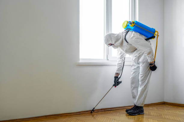 Best Pest Inspection Near Me  in Mount Morris, MI