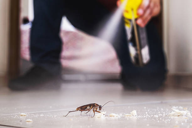 Best Best Pest Control Companies  in Mount Morris, MI