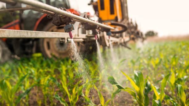 Best Mosquito Control Services  in Mount Morris, MI