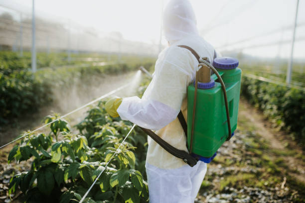 Best Residential Pest Control  in Mount Morris, MI